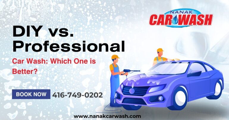 DIY vs. Professional Car Wash
