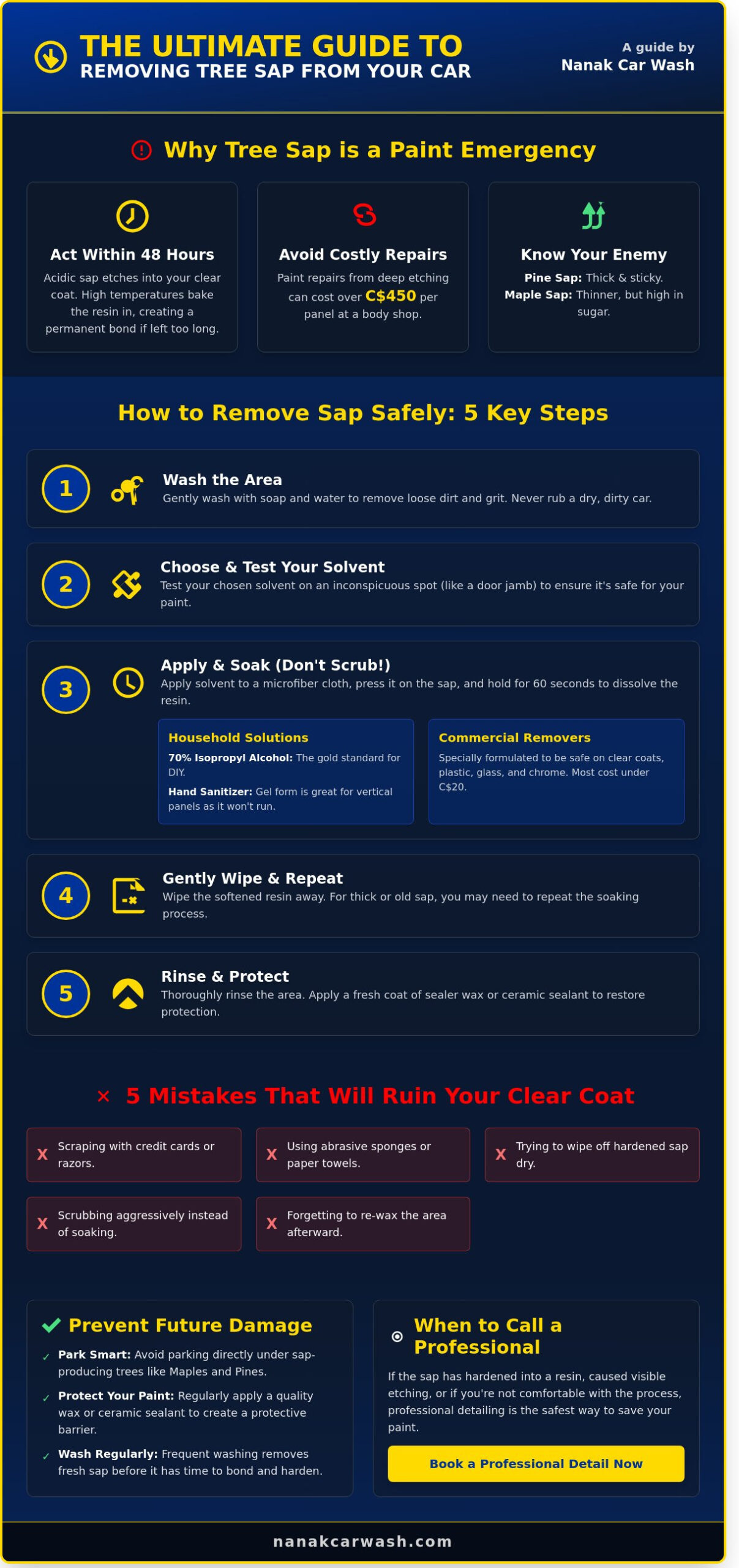 How to Remove Tree Sap from Your Car Without Damaging the Paint