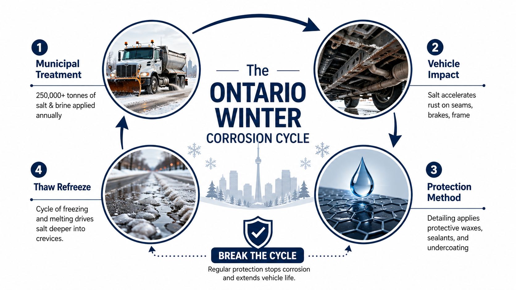 An infographic showing the Ontario winter corrosion cycle for vehicles caused by salt, brine, and freezing cycles.