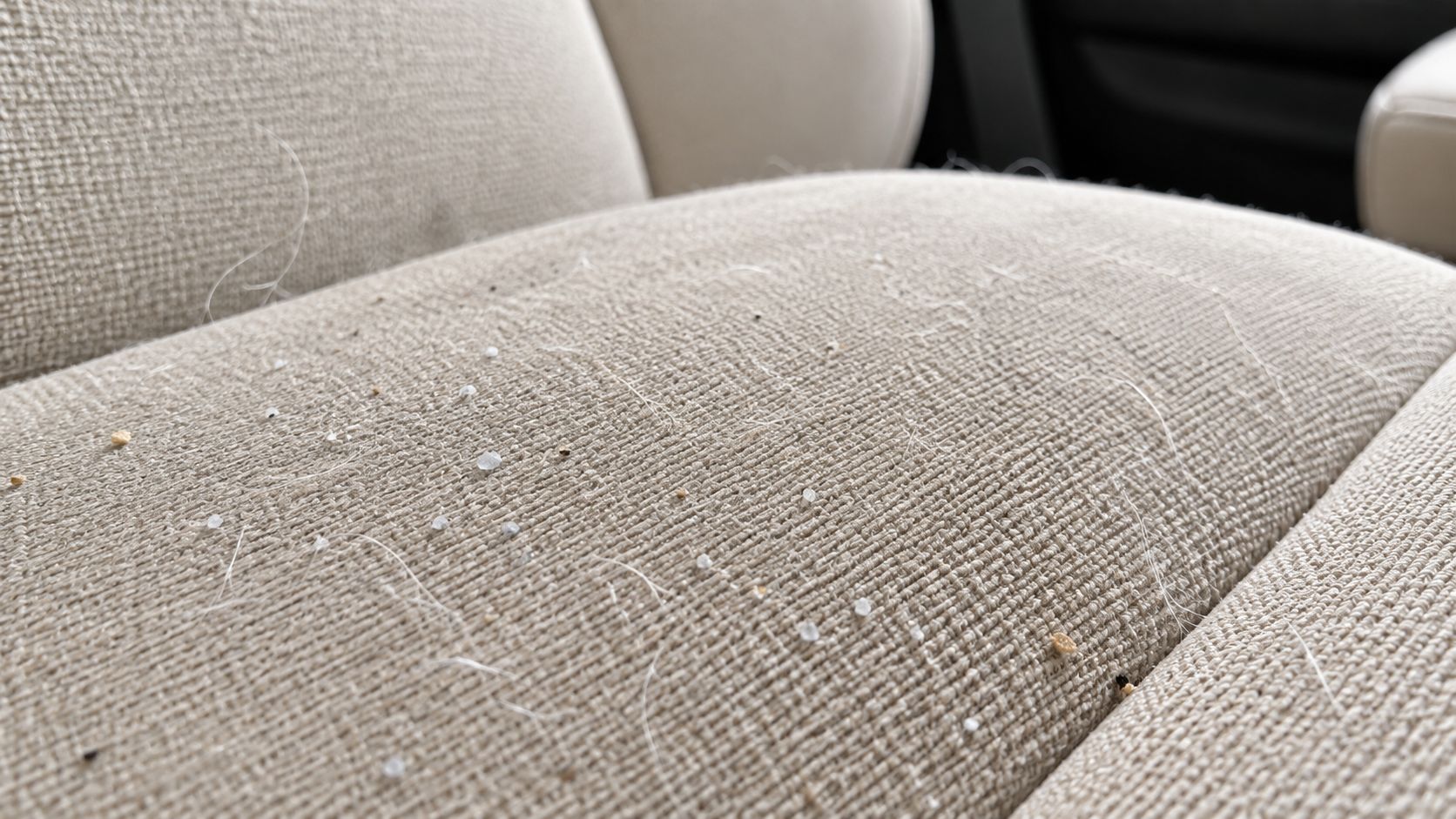 A close-up view of a fabric car seat covered in visible pet hair and small debris particles.