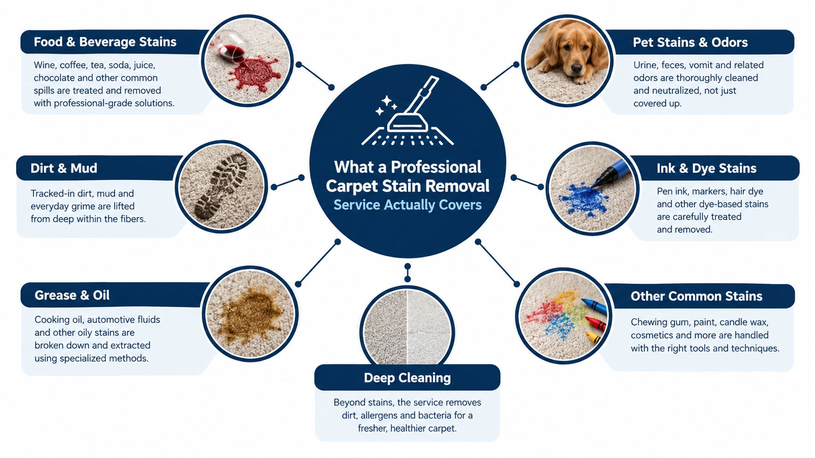 An infographic detailing the various types of carpet stains that a professional cleaning service can effectively remove.