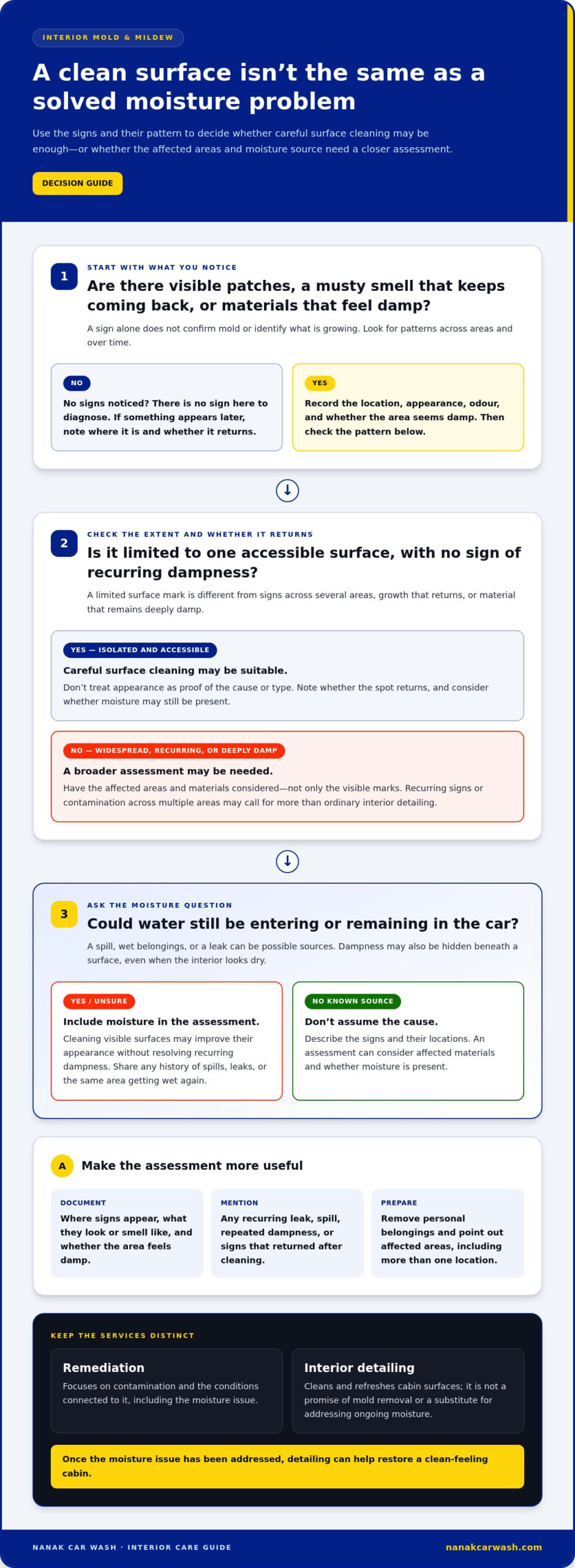 Professional Mold and Mildew Removal from Car Interior: What to Expect